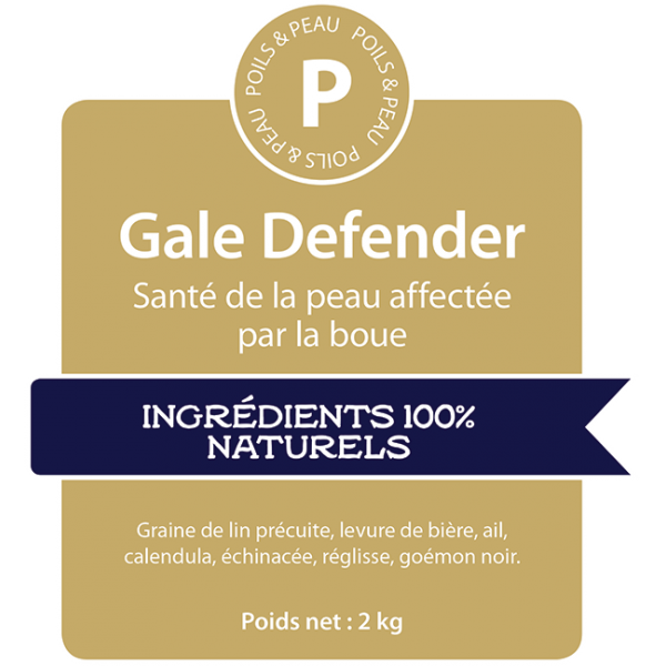 Gale Defender image